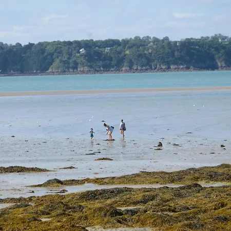Bleu Outremer-3