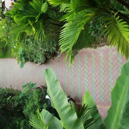 Jasmine Family Hostel-3