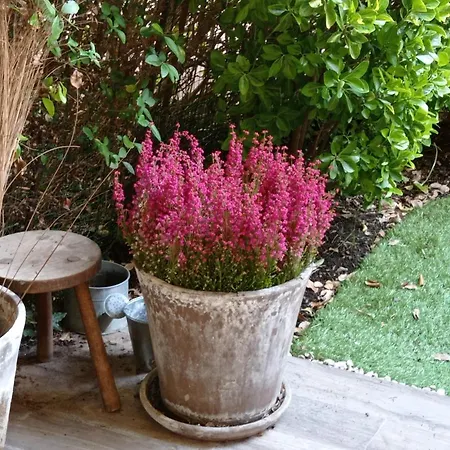 Homestay B&B La Bruyere Chez L'Habitant-3