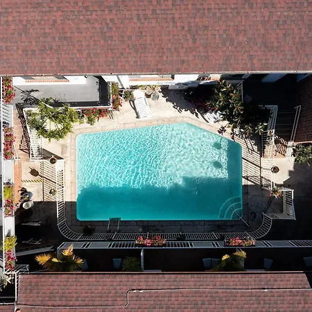 Hollywood Downtowner-3