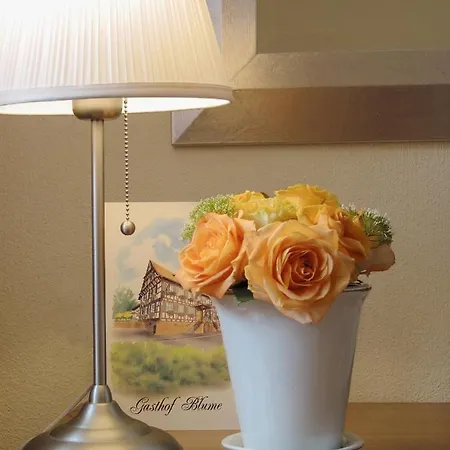 Gasthof Blume Offenburg Hotel&Restaurant-2