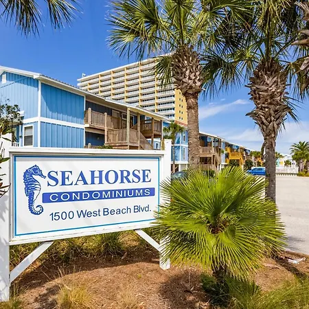 Seahorse 612-3