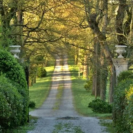 Domaine De La Vivarie-3