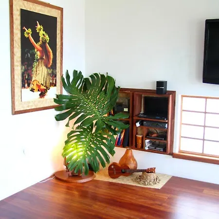 Guest House In Hilo-2