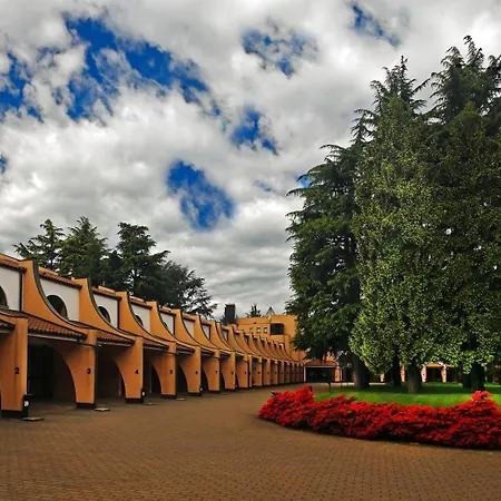 Hotel Pineta-3