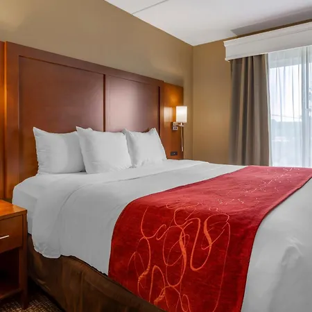 Comfort Suites Knoxville North-2