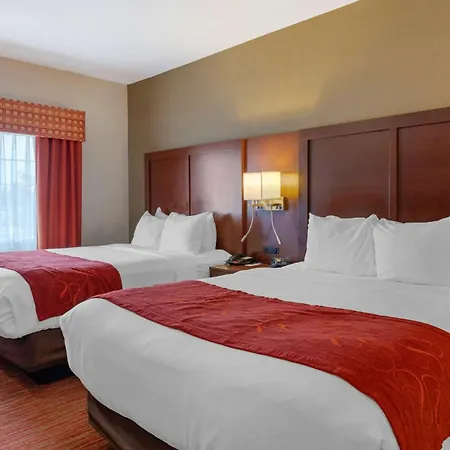 Comfort Suites Columbus Expo Center-2