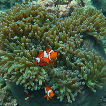 Ten Moons Lipe Resort-3