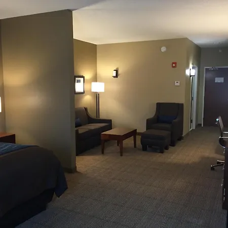 Comfort Inn & Suites Lynchburg Airport - University Area-3