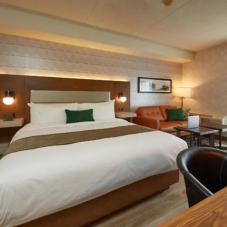 Stay Inn Hotel Toronto-3
