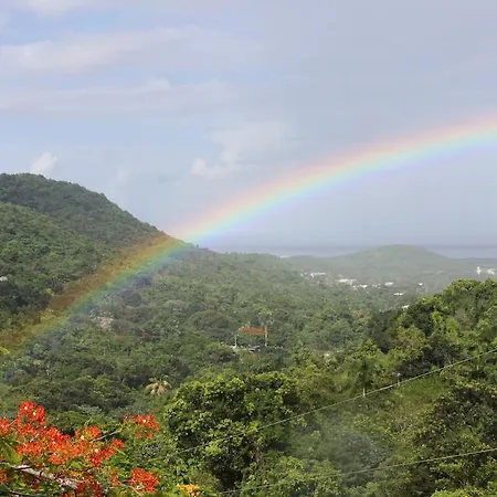 Ceiba Country Inn-3