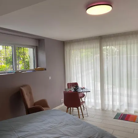 Grande Chambre D'Hote Centre Ville-3