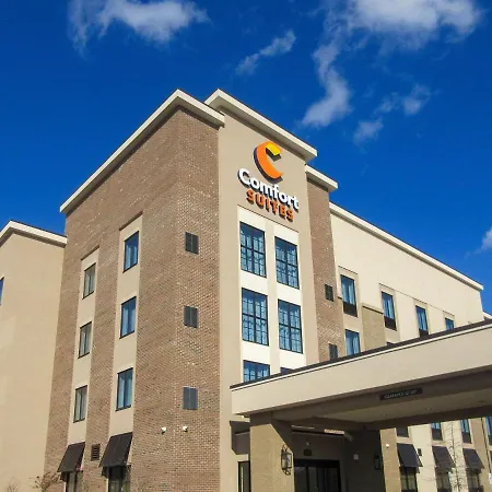 Comfort Suites Summerville-3