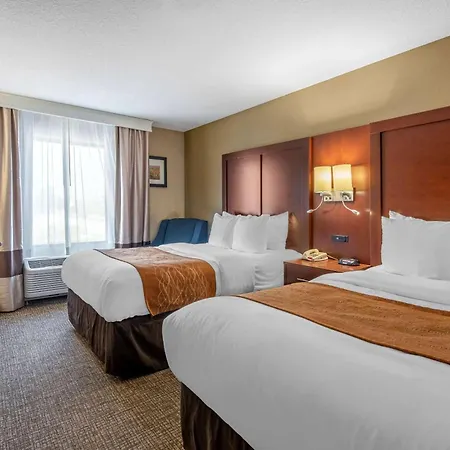 Comfort Inn & Suites Muncie Near University-3