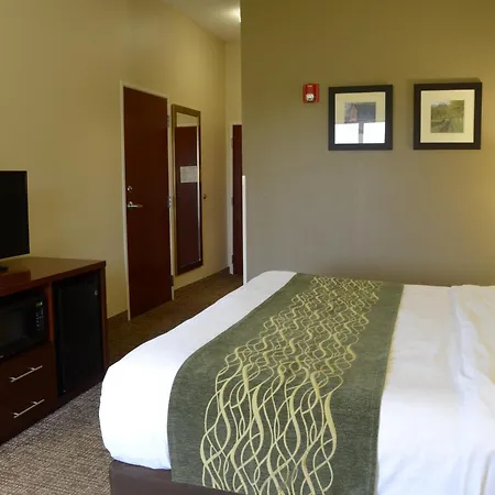 Comfort Inn & Suites Cave City-3