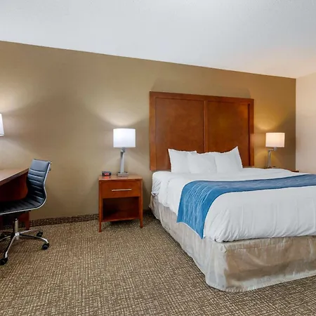 Comfort Inn Anderson South-3