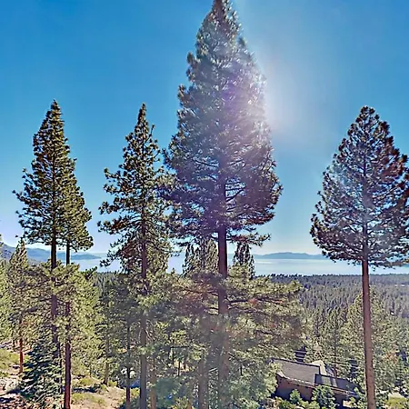Bitterbrush 25-2