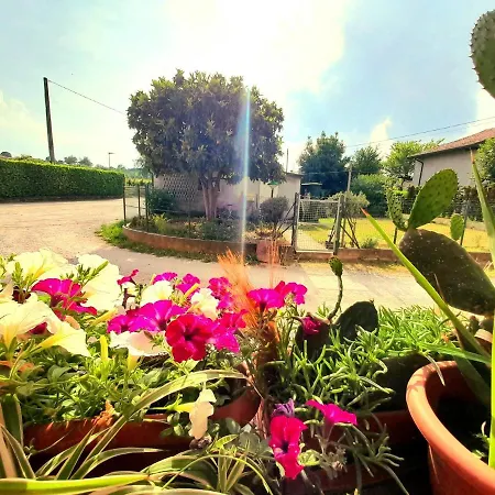 Zanina Country House-2