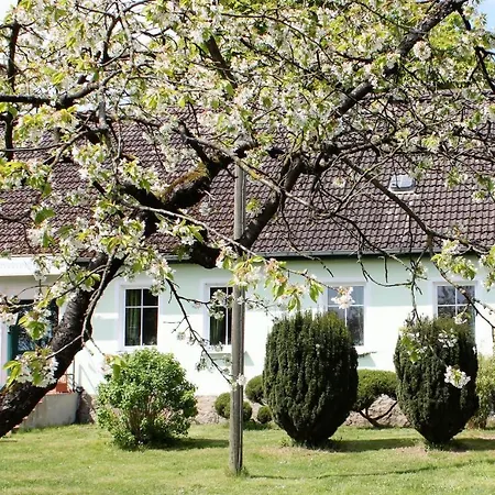 Pension Gestüt Lindenhof-2