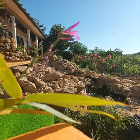 Casita Da Floresta-2