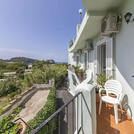 B&B Verde-2