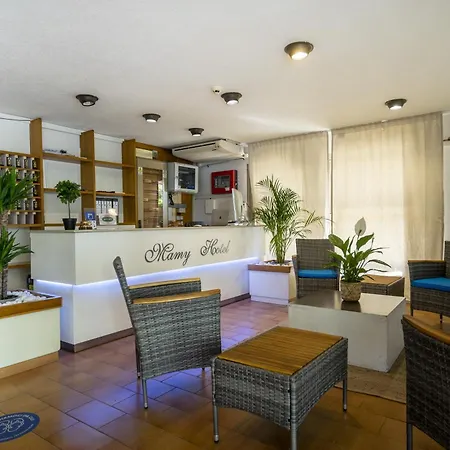 Hotel Mamy Rimini-3