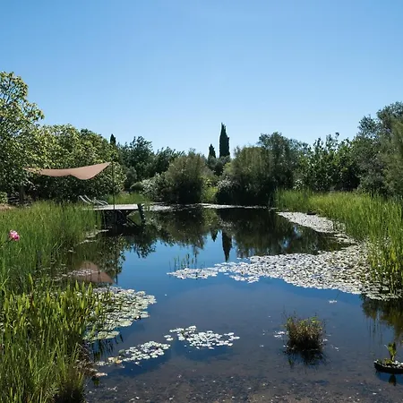 Altanure Casa Terra - Ecological Boutique Stay-3
