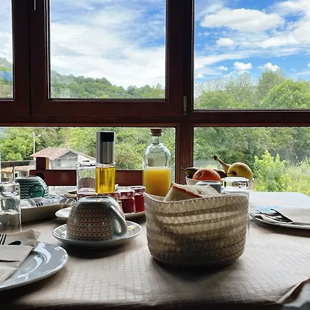 Hotel Avelina-2