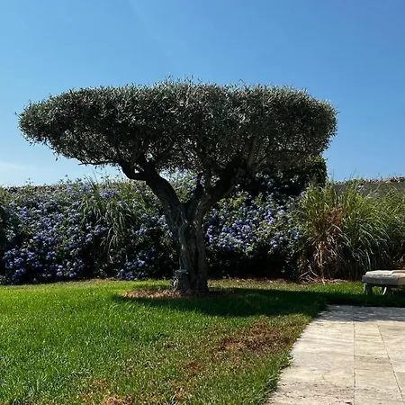 Villa Alba-2