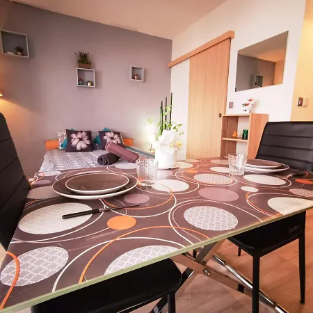 Léman Holidays - Appartement Hyper centre-2