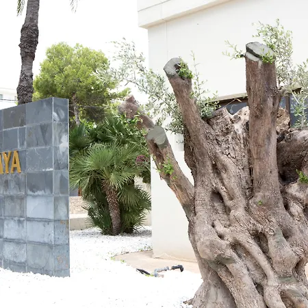 Hotel Sabina Playa (Adults Only)-3