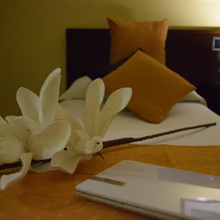 Hotel Complutense-2