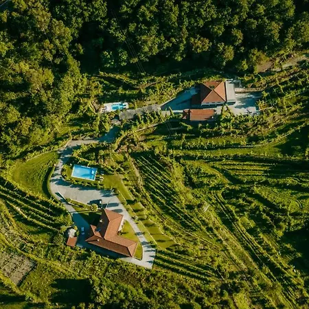 Casa Da Adega - Quinta Da Portela-3