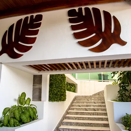 Ocean Dream Cancun By Guruhotel-3