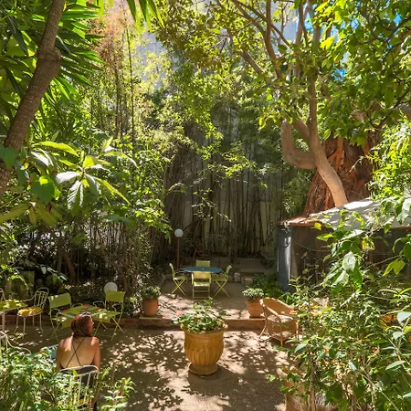 Le Windsor, Jungle Art Hotel-3
