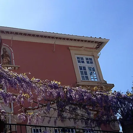 Alegre - Bussaco Boutique Hotel-3
