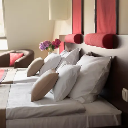 Rubin Wellness&Conference Hotel-2