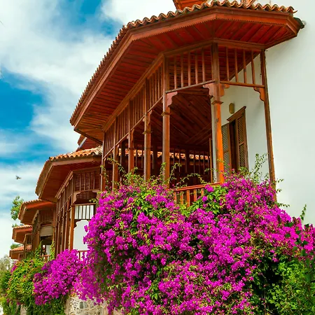 Club & Hotel Letoonia-3