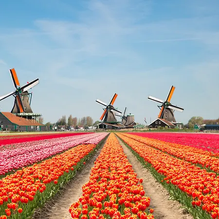 Holiday Inn The Hague - Voorburg By Ihg-2