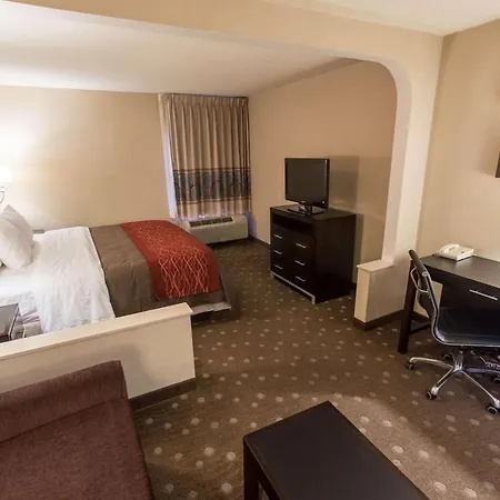 Comfort Inn Pittsburgh Crafton-2