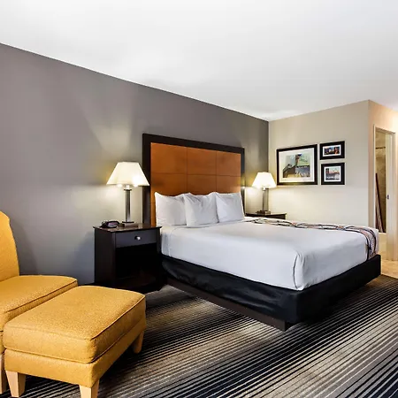 Best Western Plus Hyde Park Chicago Hotel-2