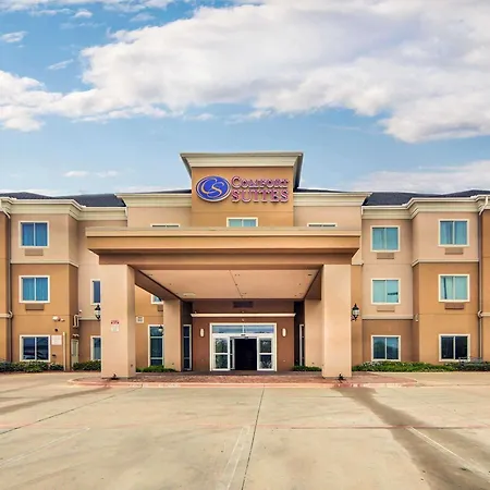 Comfort Suites Fort Worth South-3