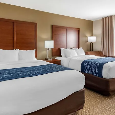 Comfort Inn & Suites Texas Hill Country-3