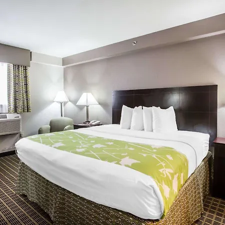 Econo Lodge Birmingham - Hoover-3