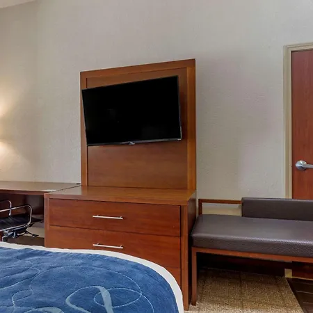 Comfort Suites Gainesville-2