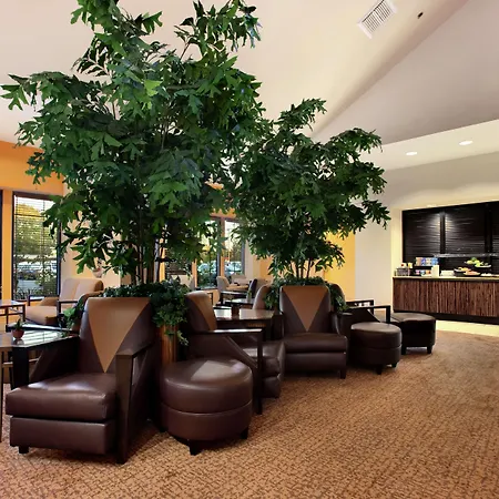 Hilton Stockton-3