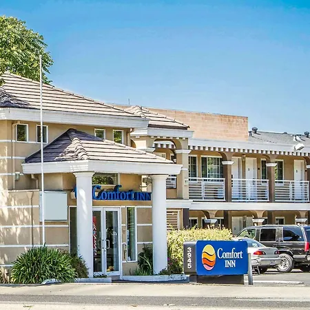 Comfort Inn Palo Alto-3
