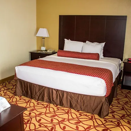 Best Western Park Hotel-2