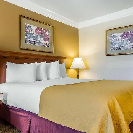 Quality Inn & Suites Vacaville-3