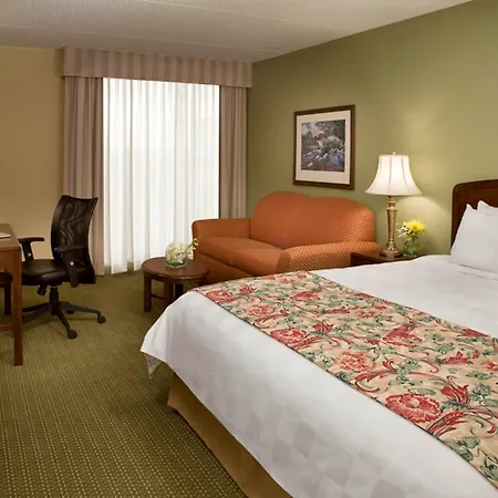 Spark By Hilton Toronto Airport-2